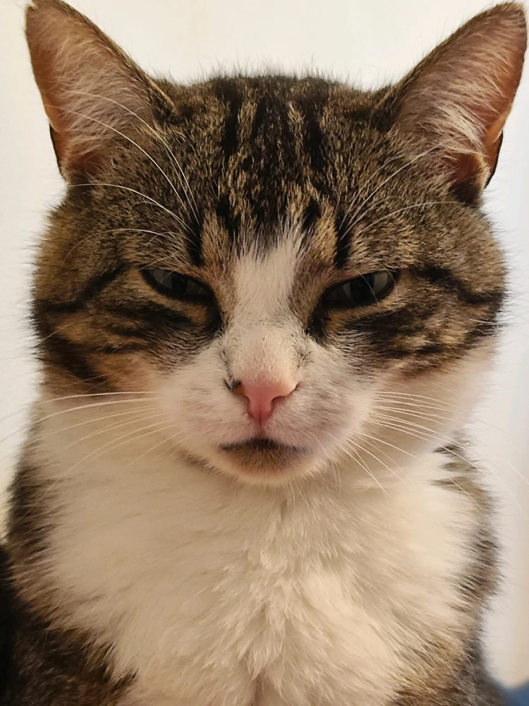 GIF dodany przez Martin