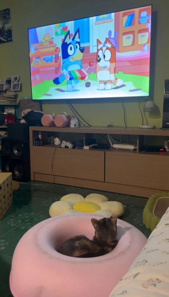 GIF uploaded by Pat♡