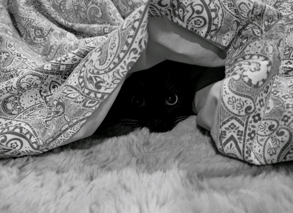 GIF enviado por Daphne