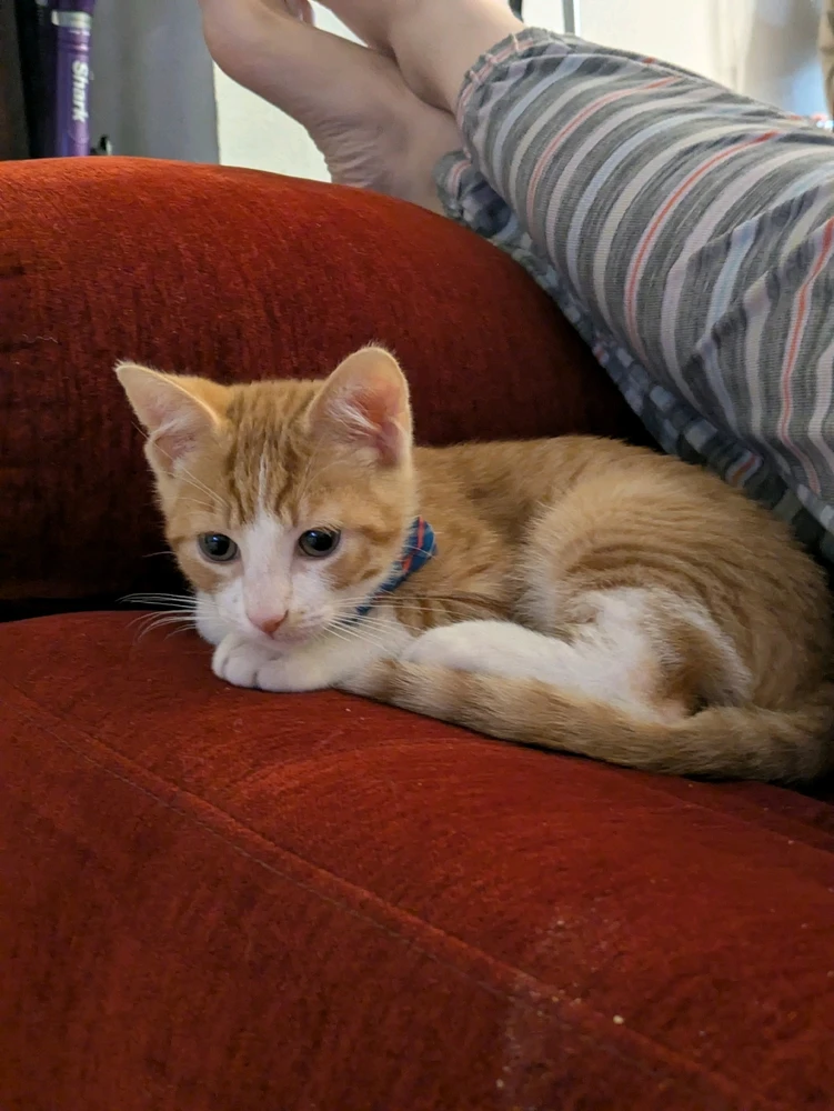 Image uploaded by Gigi 💖💜💙 🌈