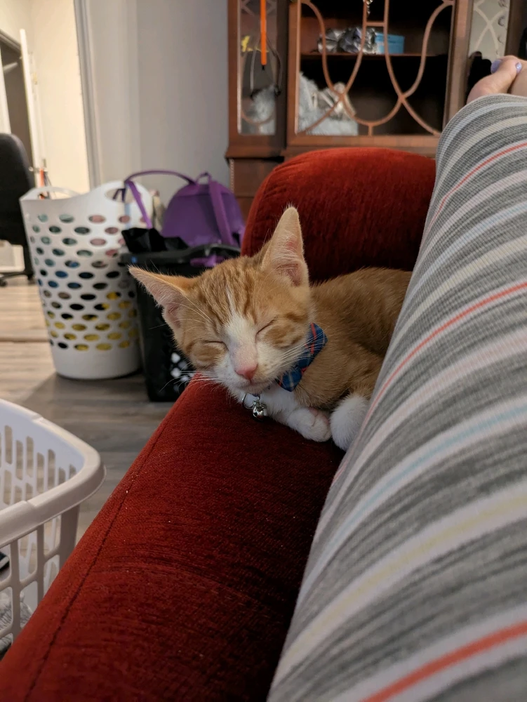 Image uploaded by Gigi 💖💜💙 🌈