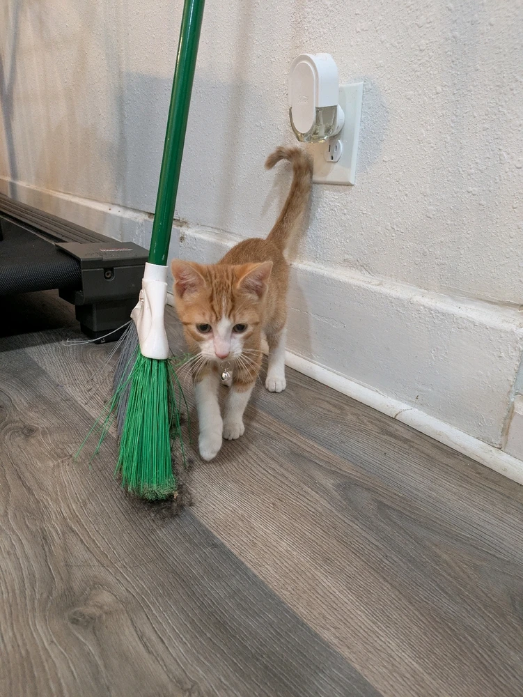 Image uploaded by Gigi 💖💜💙 🌈