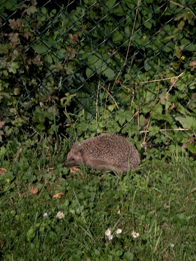 GIF uploaded by Kathi