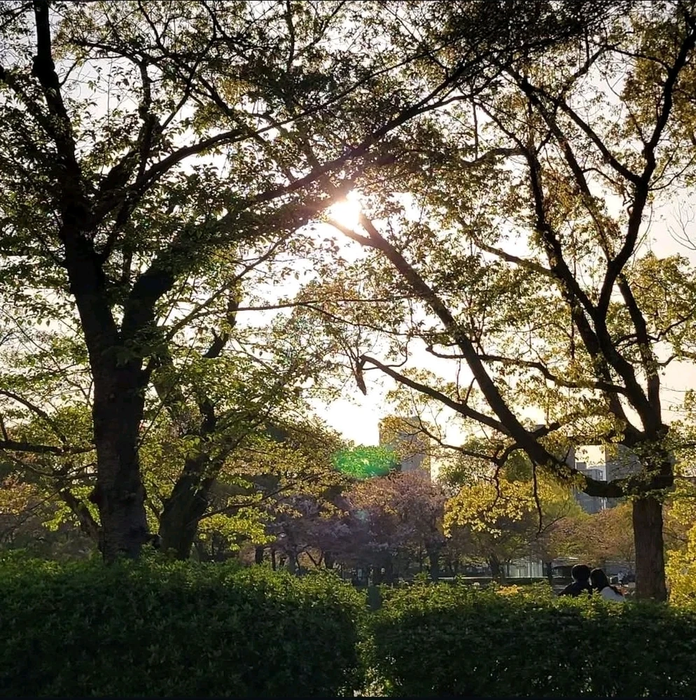 Image uploaded by Max