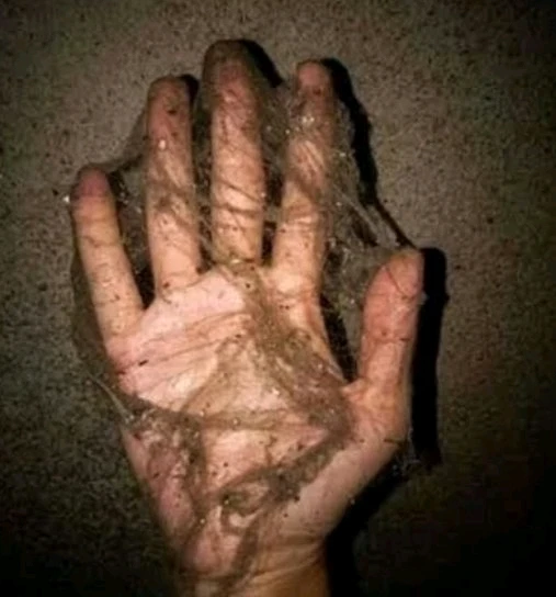 GIF diunggah oleh Danel P