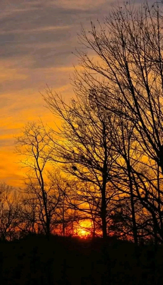 Good evening, lovebugs 💋