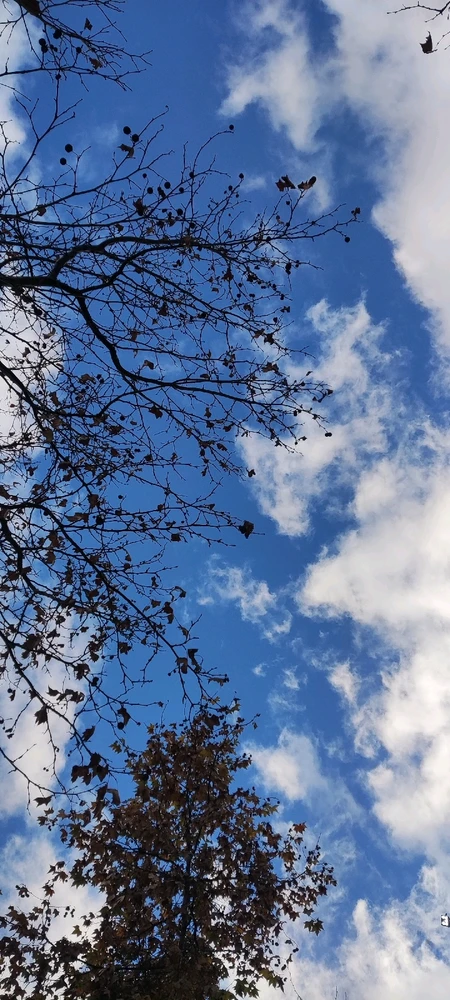 GIF subido por Ziiomh