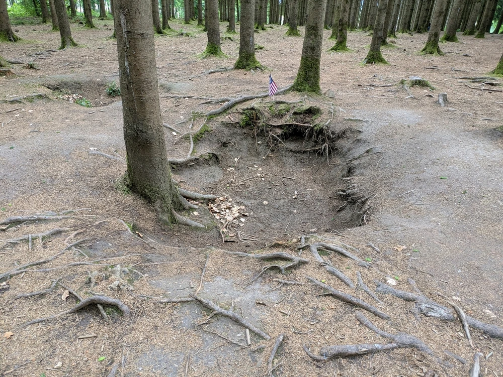 Bild hochgeladen von Maximilian