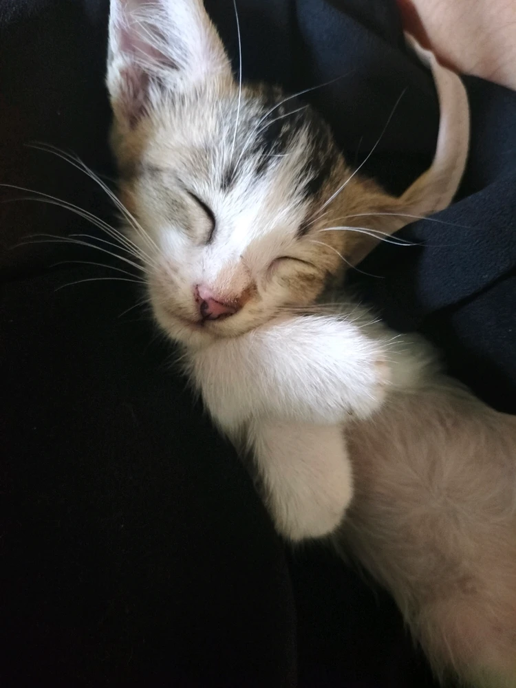 GIF uploaded by Marini