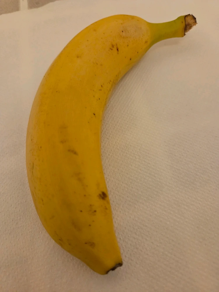 GIF caricata da Paky