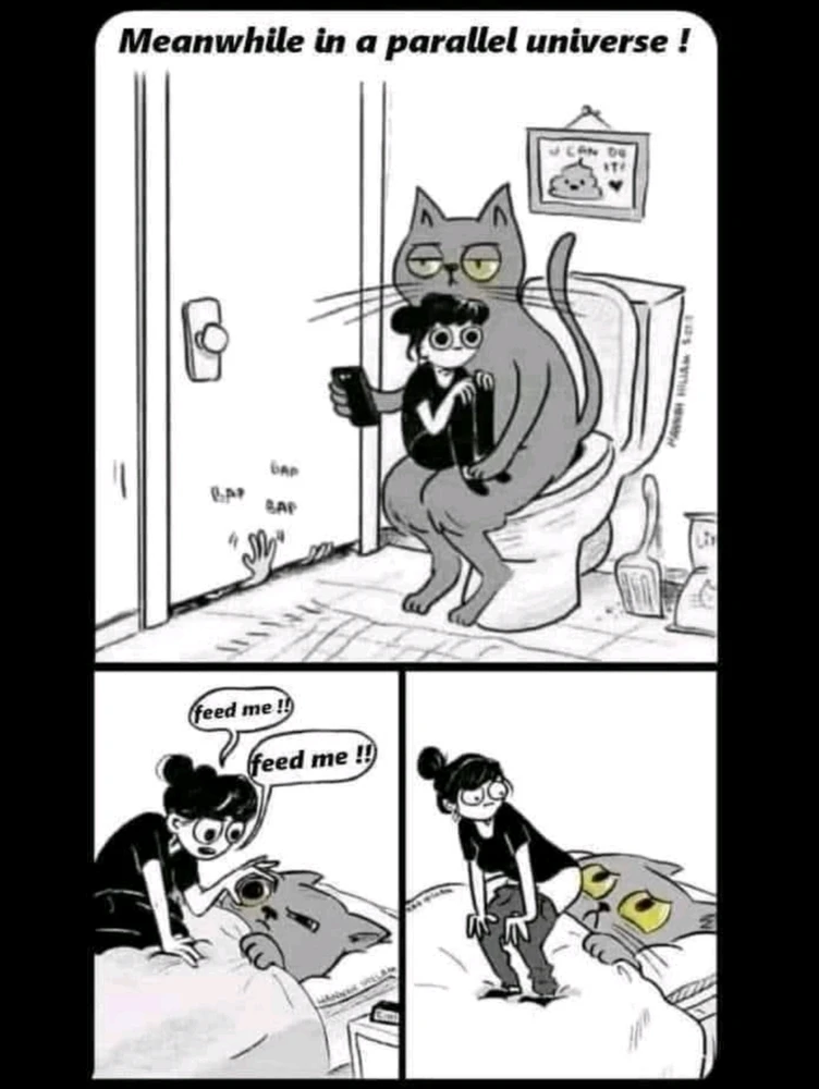 GIF hochgeladen von Doris