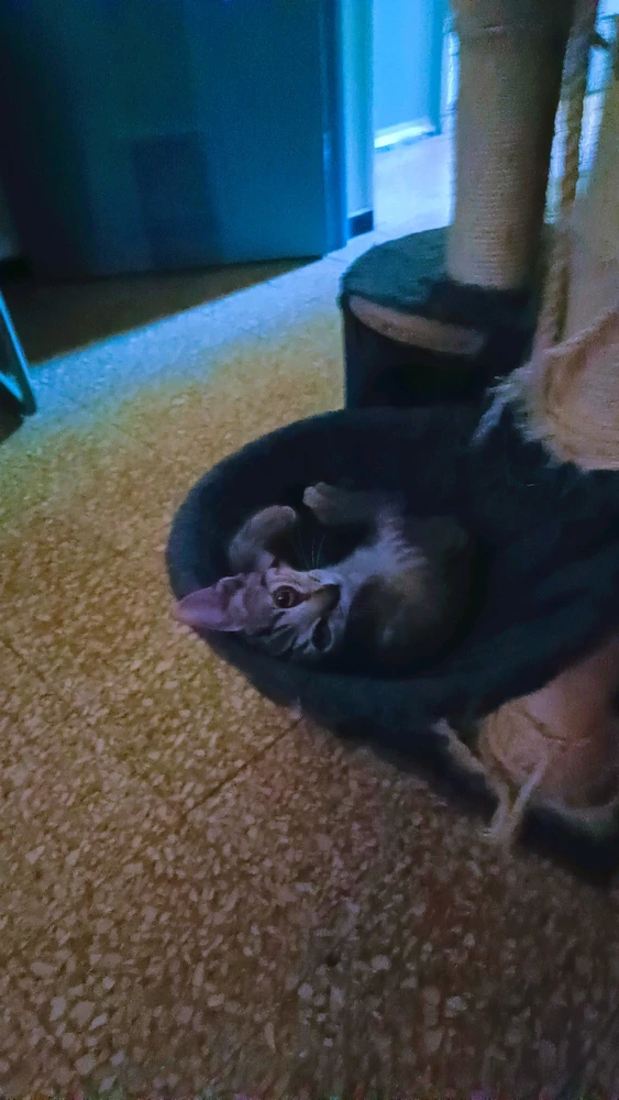 GIF ajouté par Jonathan