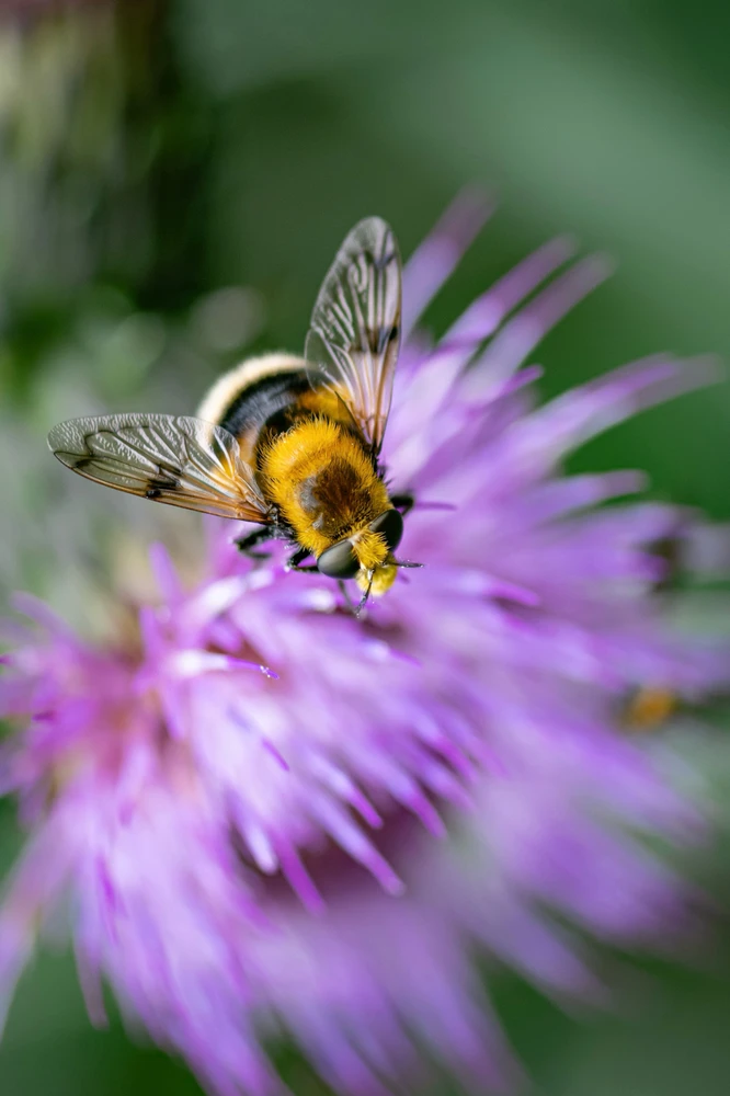 GIF uploaded by Felix