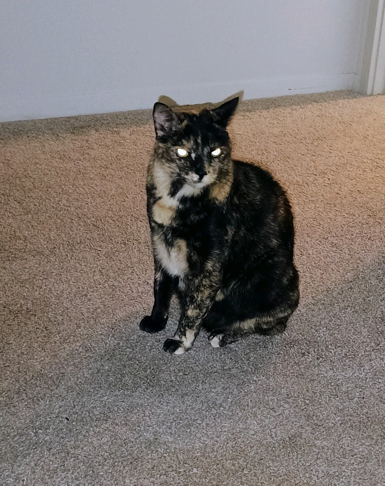 Image uploaded by Sarah