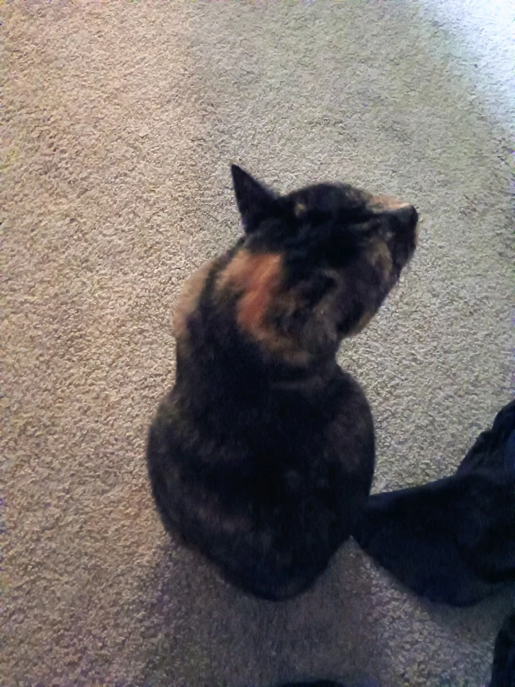 Image uploaded by Sarah