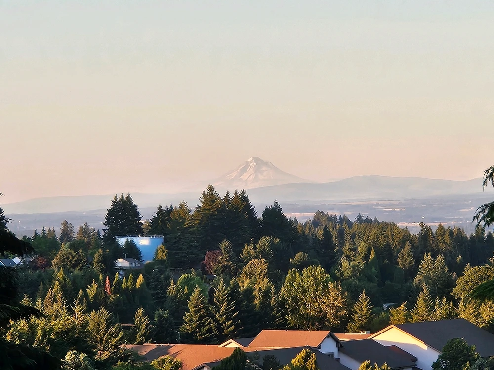 Image uploaded by Jory