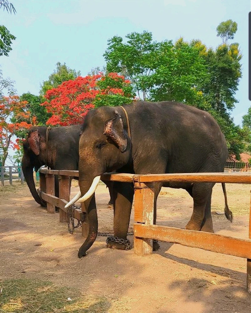 GIF subido por Abhishek