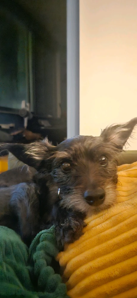 GIF הועלה על ידי Arkadi