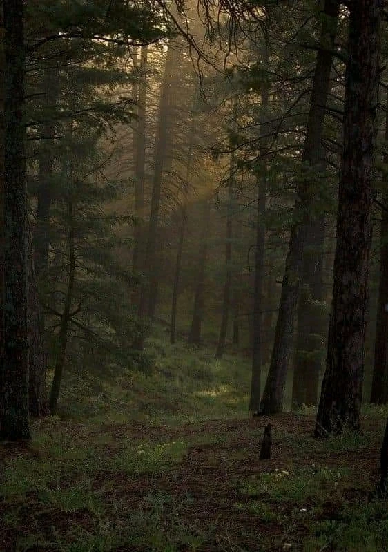 GIF качен от Galina