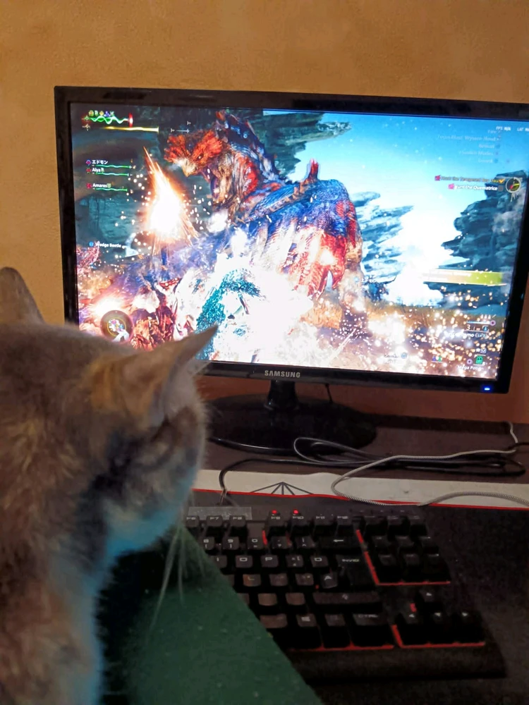 GIF caricata da Ramzi