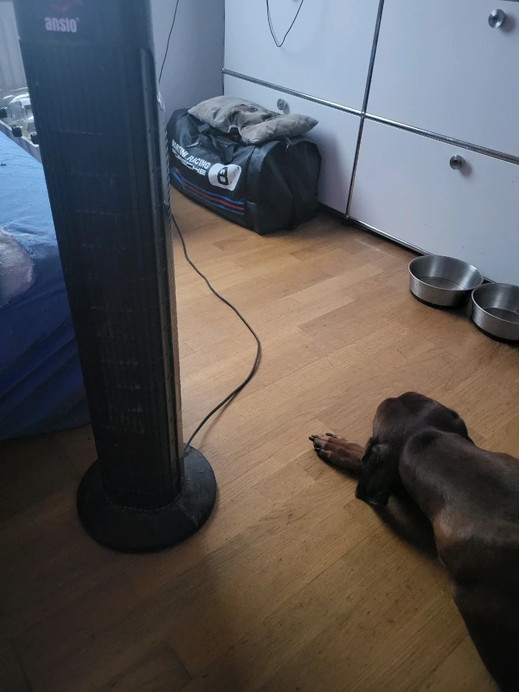 GIF hochgeladen von Hagen