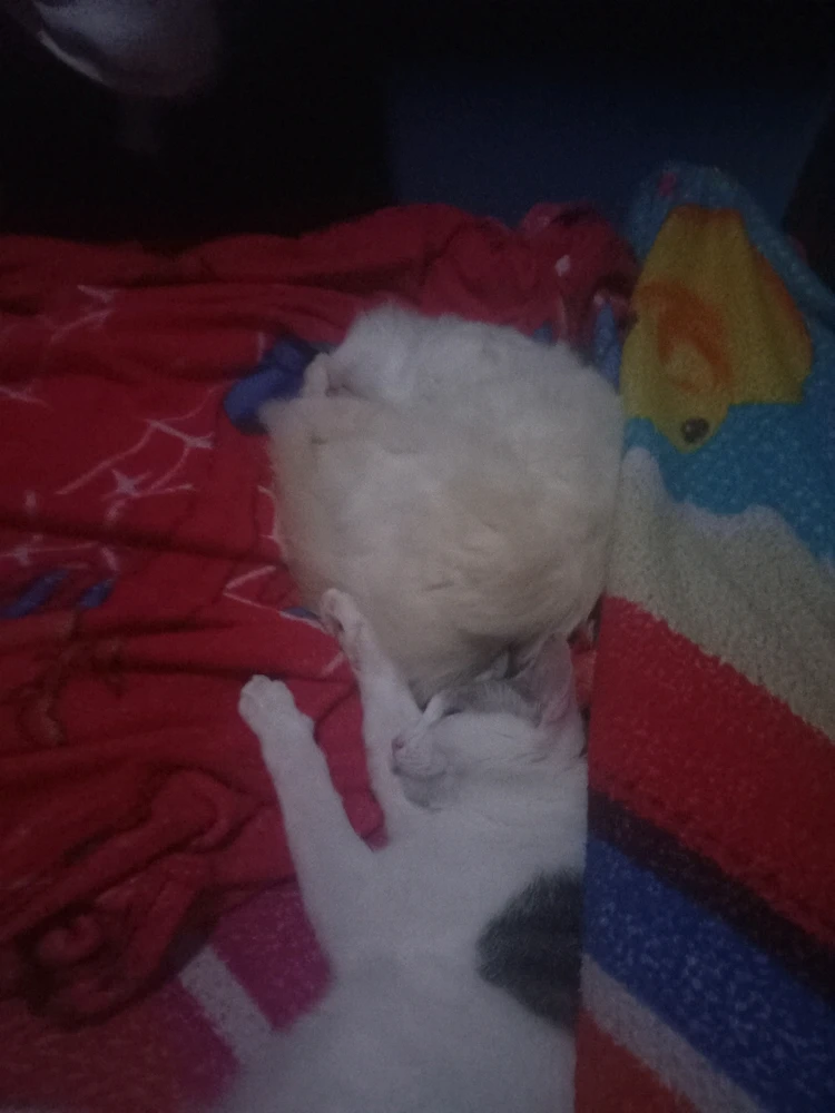 GIF enviado por ANACLARA
