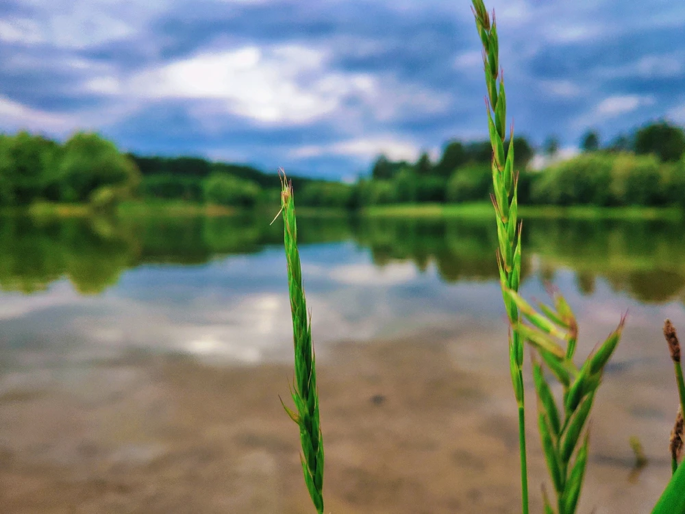 Фото загрузил 🅦🅣🅕ⓄⓍ