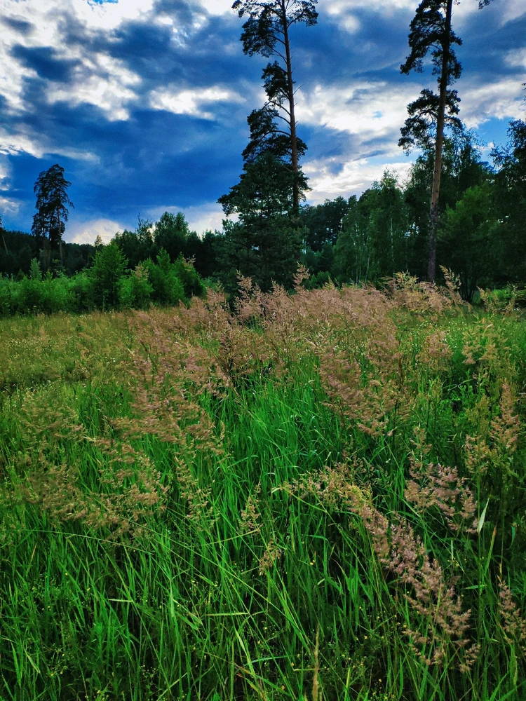 Фото загрузил 🅦🅣🅕ⓄⓍ