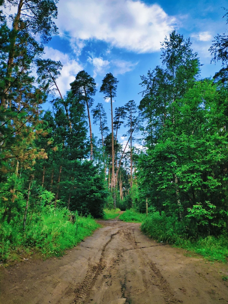 Фото загрузил 🅦🅣🅕ⓄⓍ