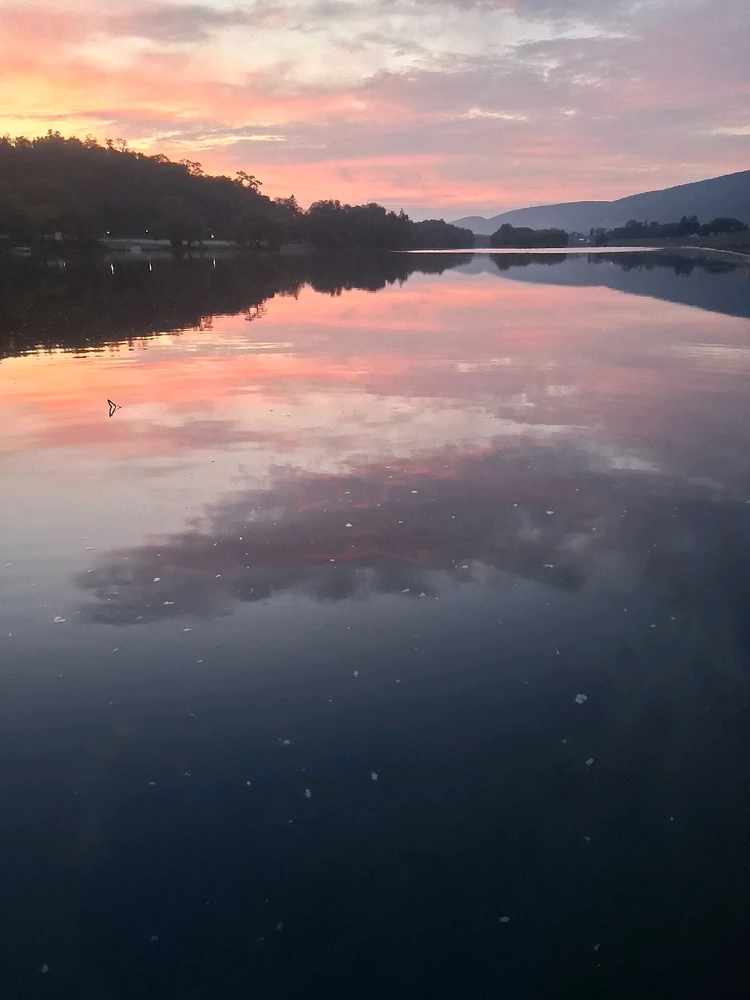 Image uploaded by Bryce