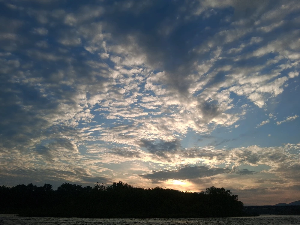 Image uploaded by Bryce