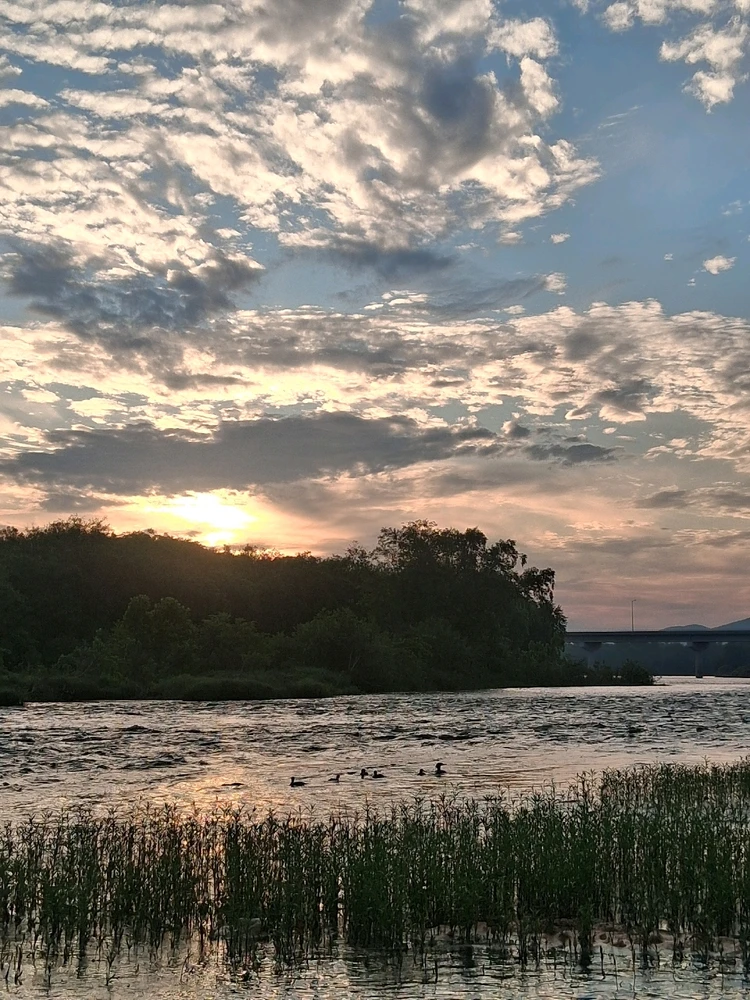 Image uploaded by Bryce