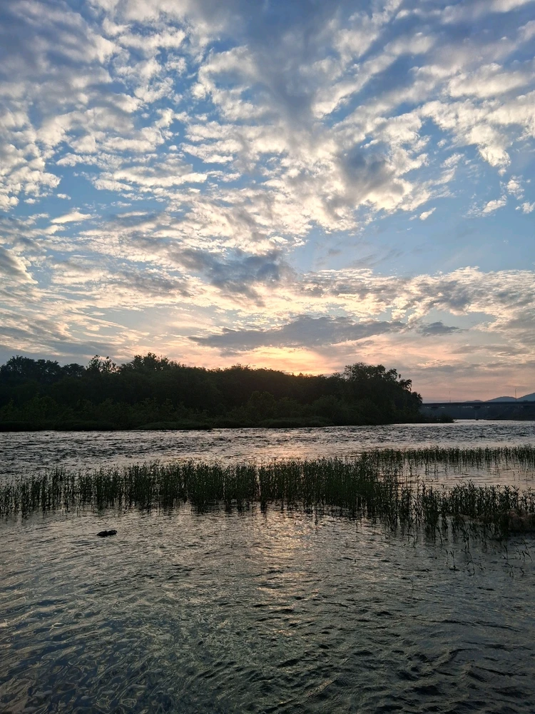 Image uploaded by Bryce