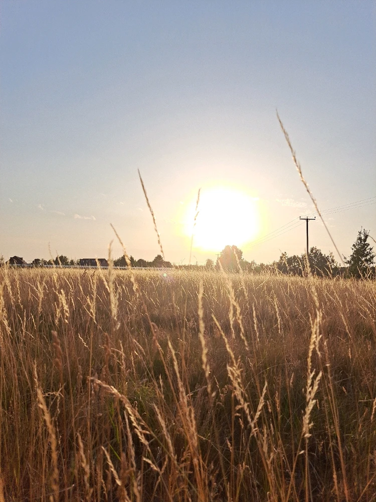 Image uploaded by JD