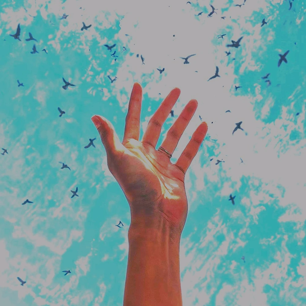 GIF رفعها 𝐹𝐼𝒥?✨?