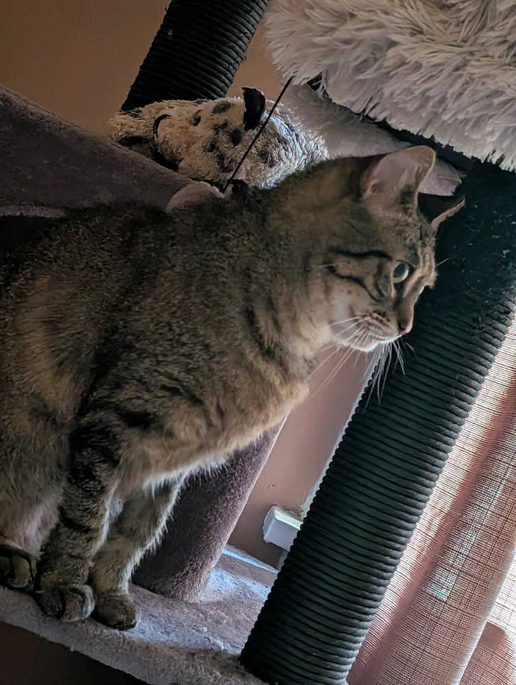 GIF uploaded by Andrew