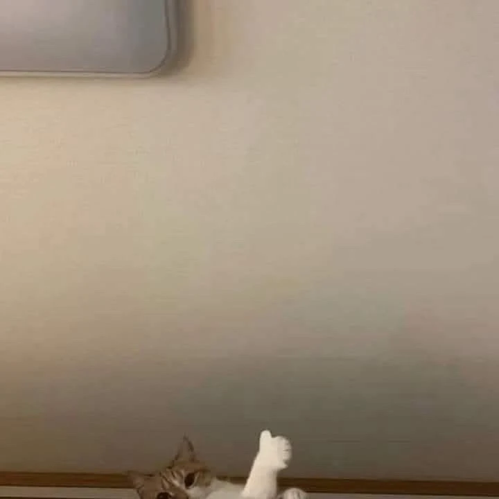 GIF uploaded by Ubaid