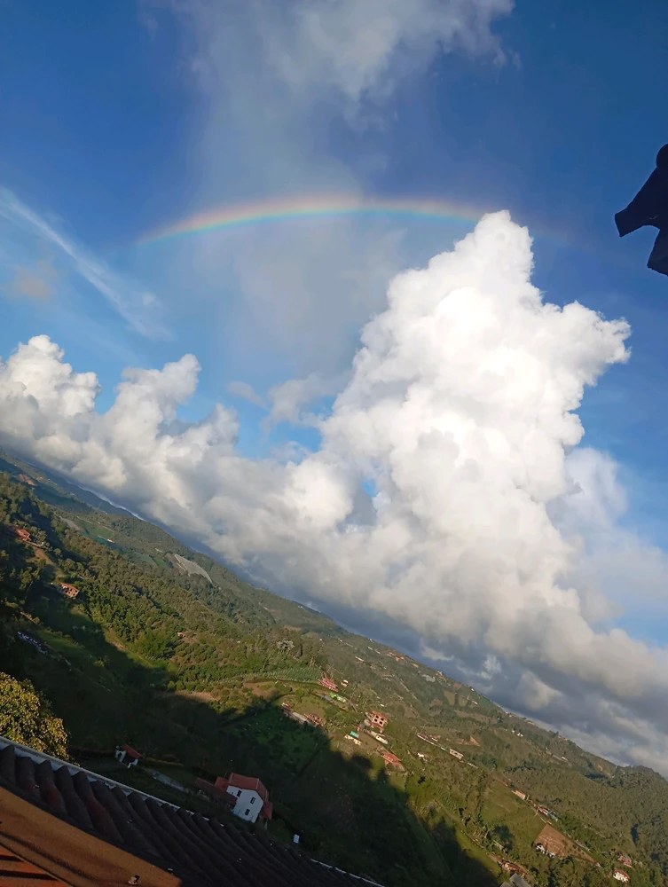 GIF uploaded by LauR