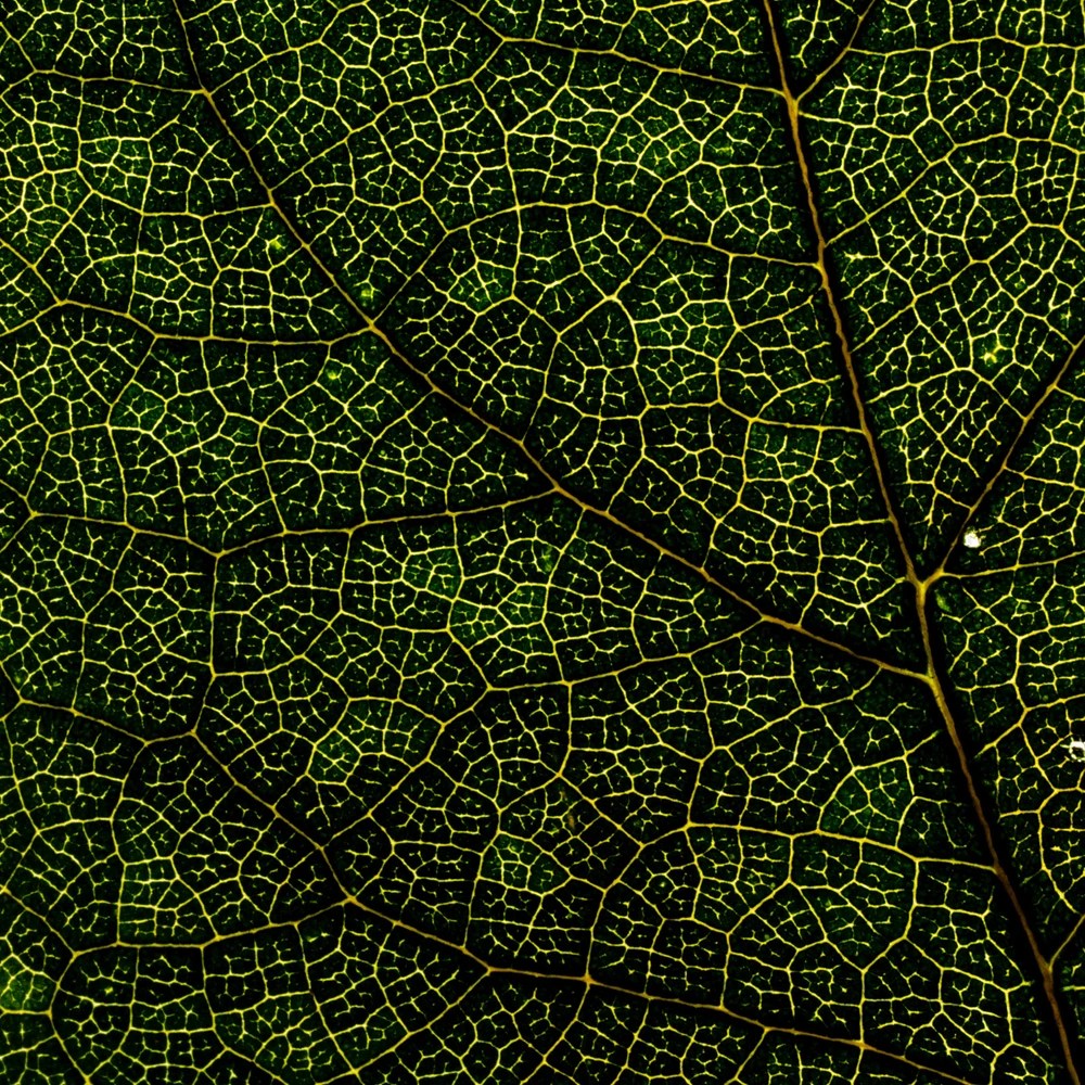 GIF caricata da Matteo