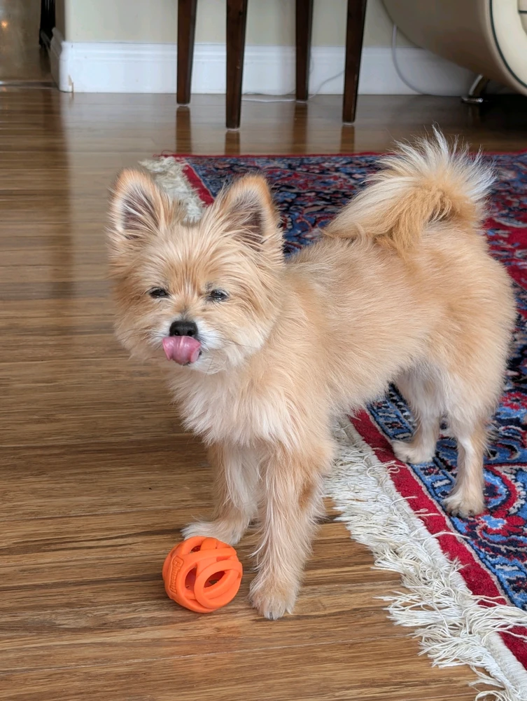 GIF uploaded by Paul