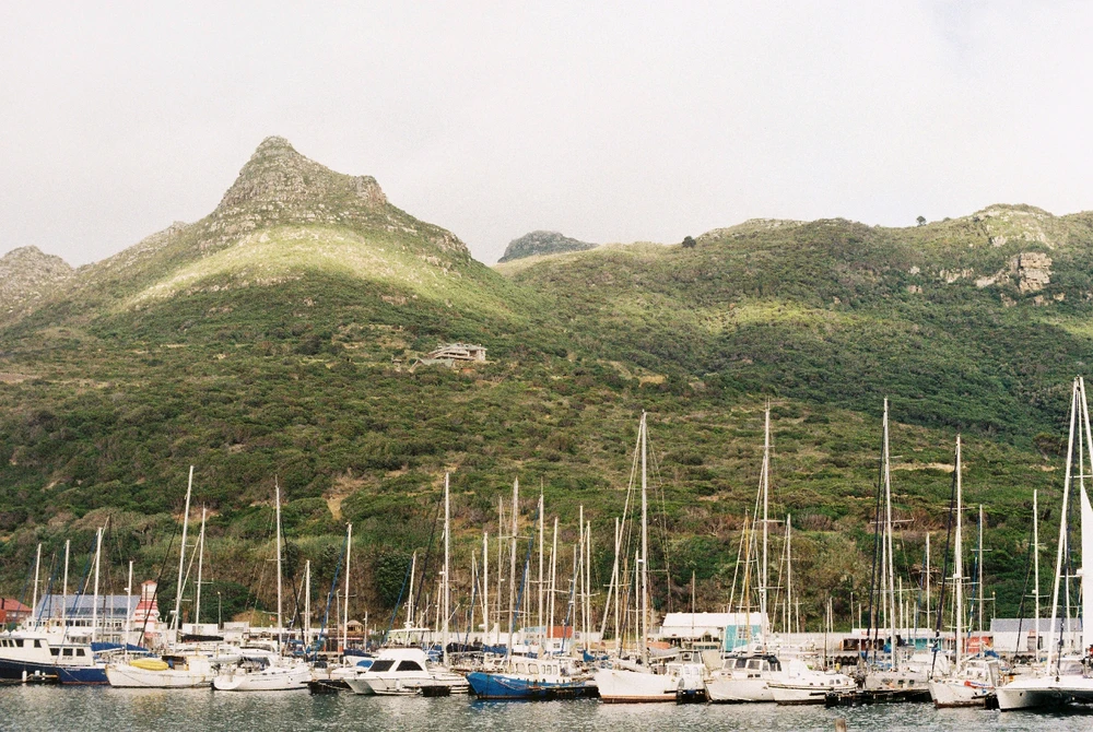 Image uploaded by Fey