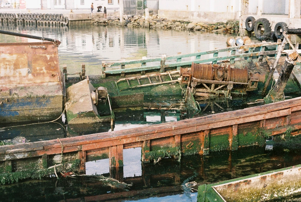 Image uploaded by Fey