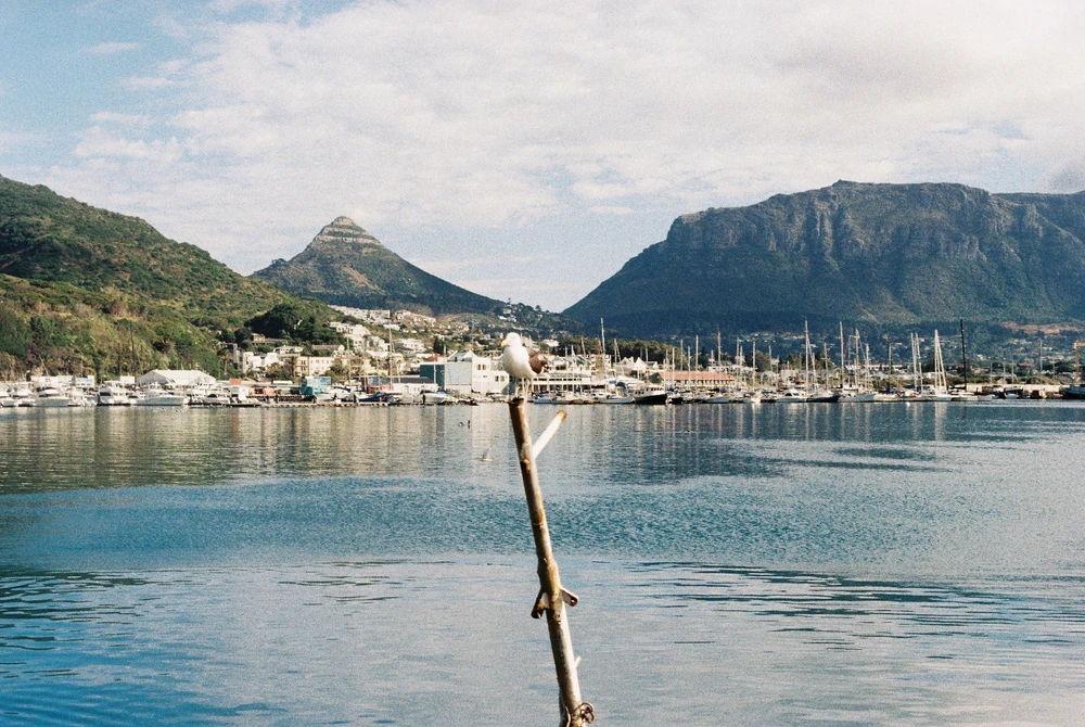 Image uploaded by Fey