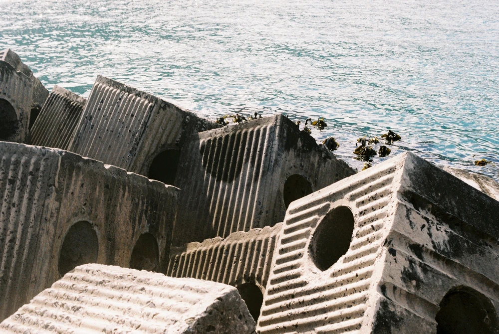 Image uploaded by Fey