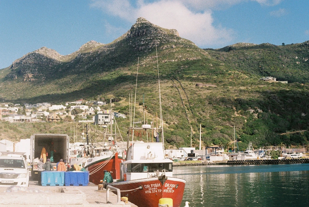 Image uploaded by Fey