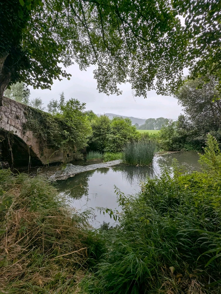 GIF subido por Tidus182