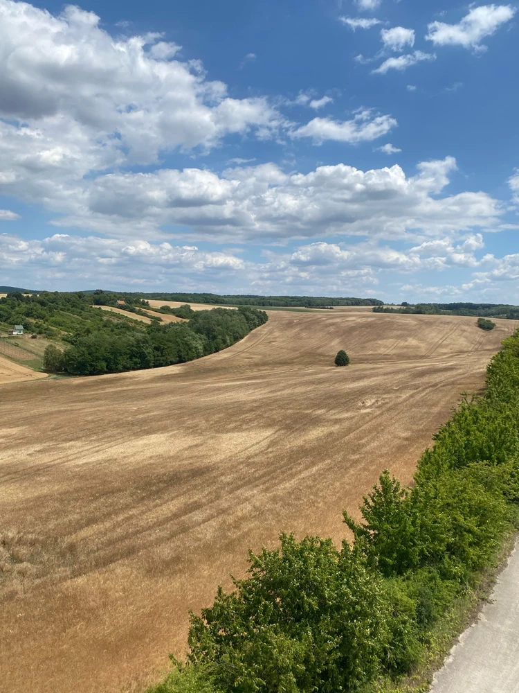 Fotku nahral/-a Annamária