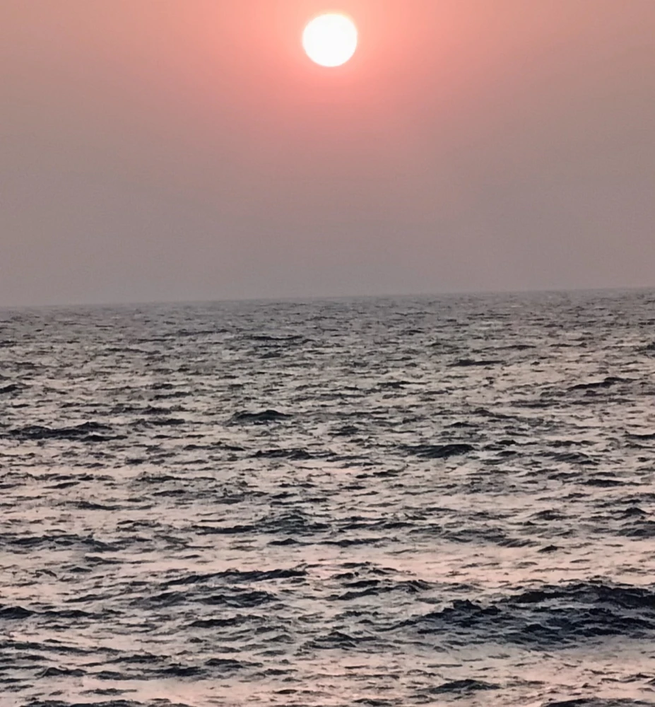 Sushant Singh द्वारा अपलोड किया गया GIF