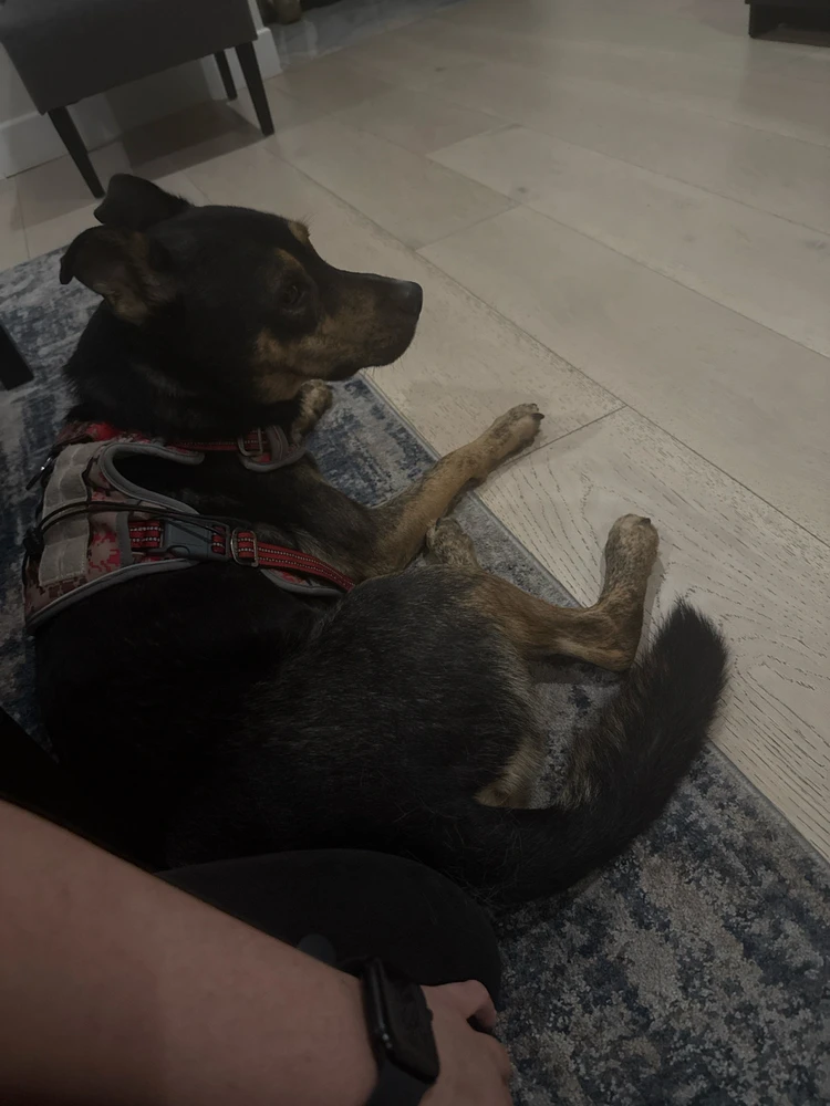 Image uploaded by Keegan