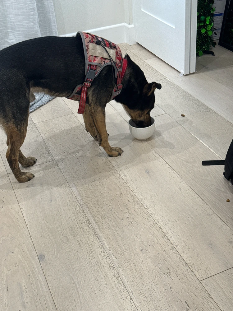 Image uploaded by Keegan